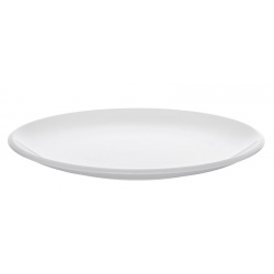 Assiette plate sans rebord Synergy 29 cm (le lot de 6)