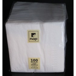 Carton de 40 paquets de 100 serviettes ouate 20 x 20 cm blanc